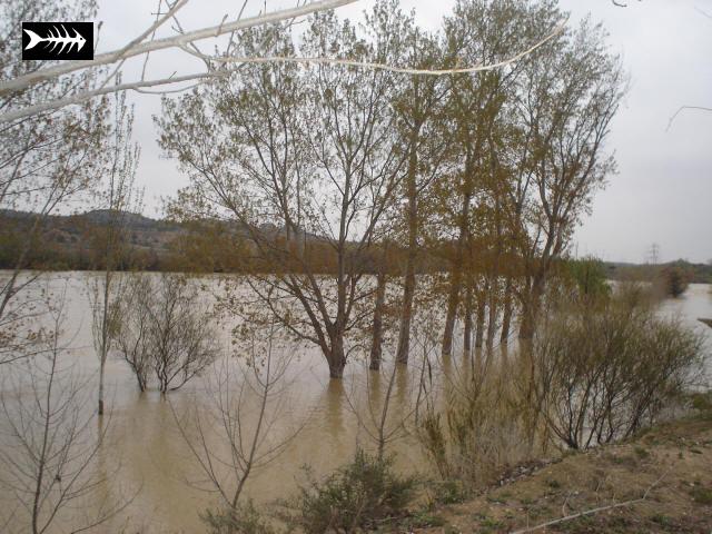 Ebre en crue 031.jpg